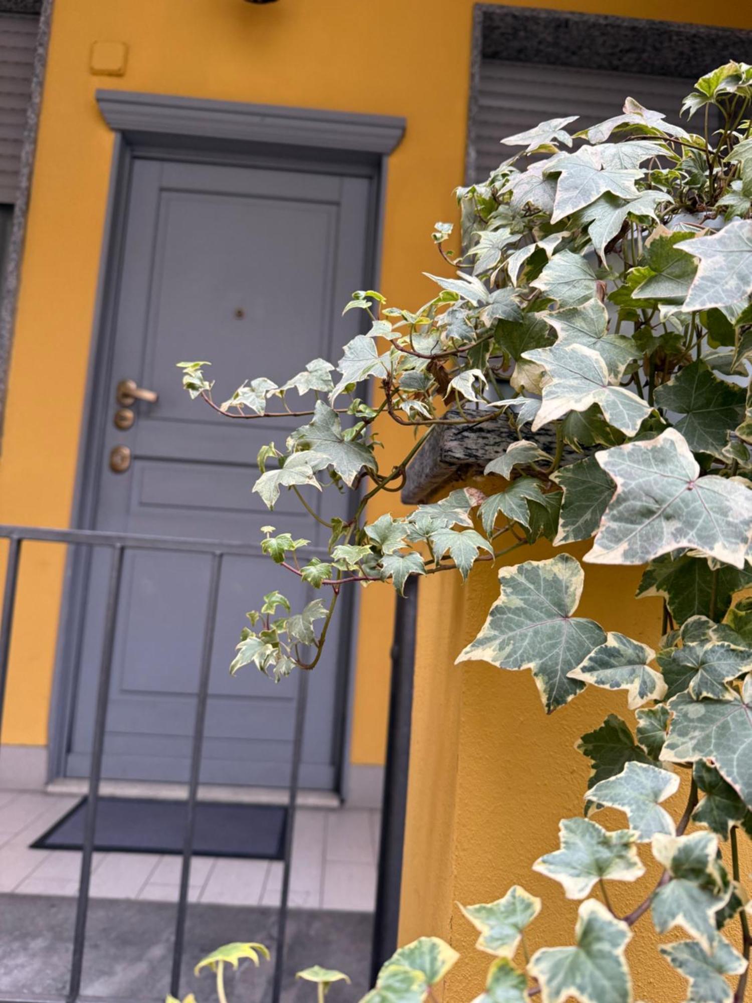 Villa Gionas - Casa Indipendente In Zona Strategica Milán Exterior foto